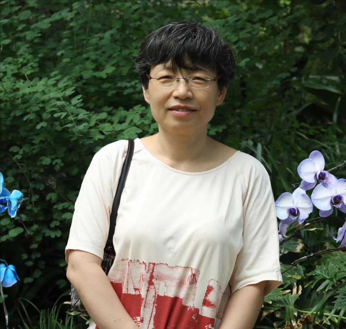  星际（中国）创新论坛第一千七百六十五讲：题目1-层状岩体岩浆房冷却过程与钒钛磁铁矿床成因 题目2-辽东中生代岩浆岩壳幔相互作用的岩浆和成矿记录