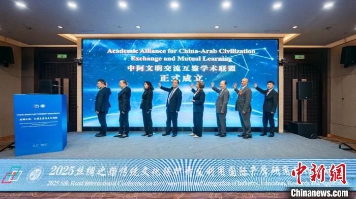 2025丝绸之路传统文化保护开发利用国际产学研用合作研讨会举办。星际（中国）供图